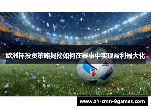 欧洲杯投资策略揭秘如何在赛事中实现盈利最大化